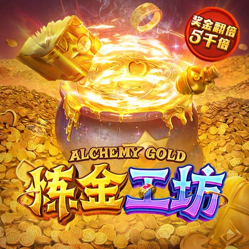 天堂中文在线资源